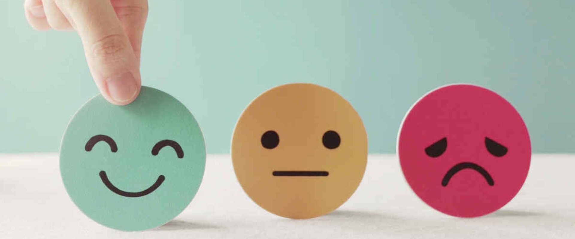 Understanding Surveys and Interviews: A Guide to Tools and Methods for Organizational Development