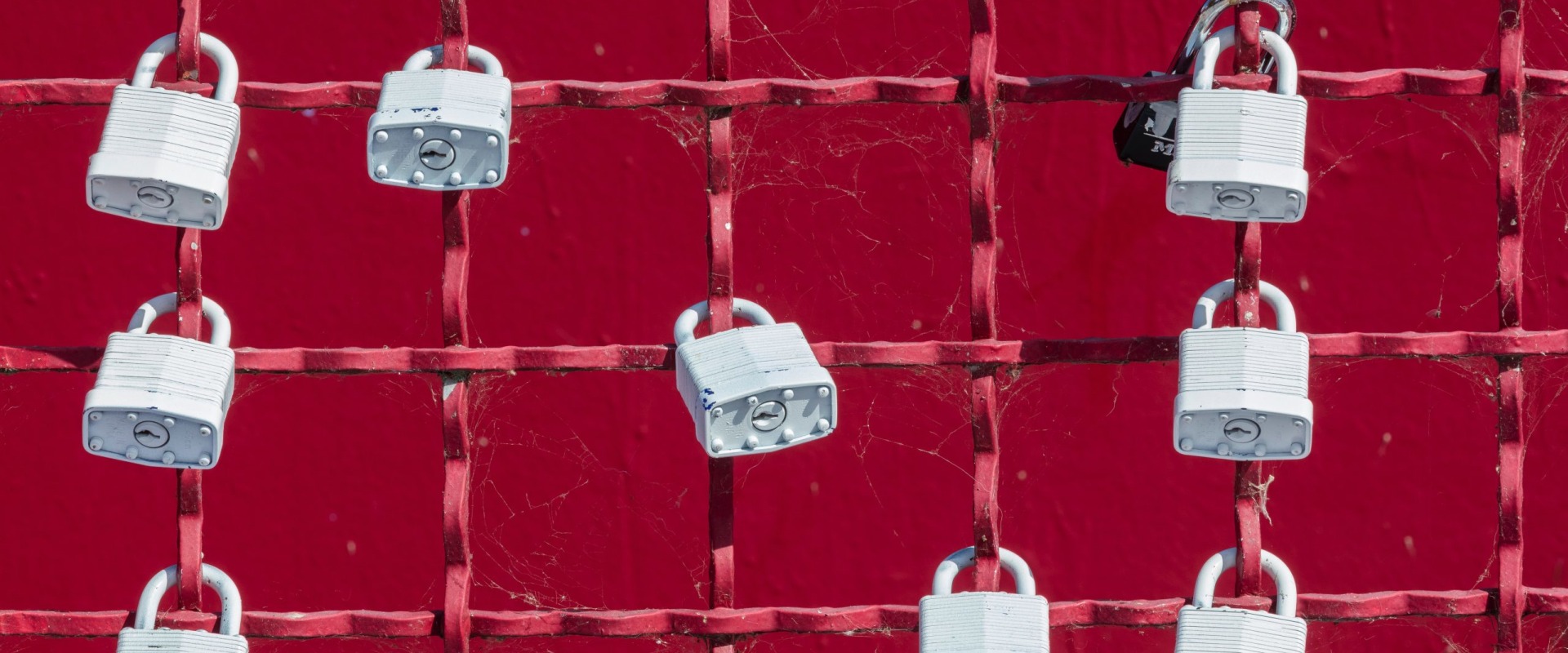 Unlock Your Leadership Potential: A Comprehensive Guide to Leadership Development
